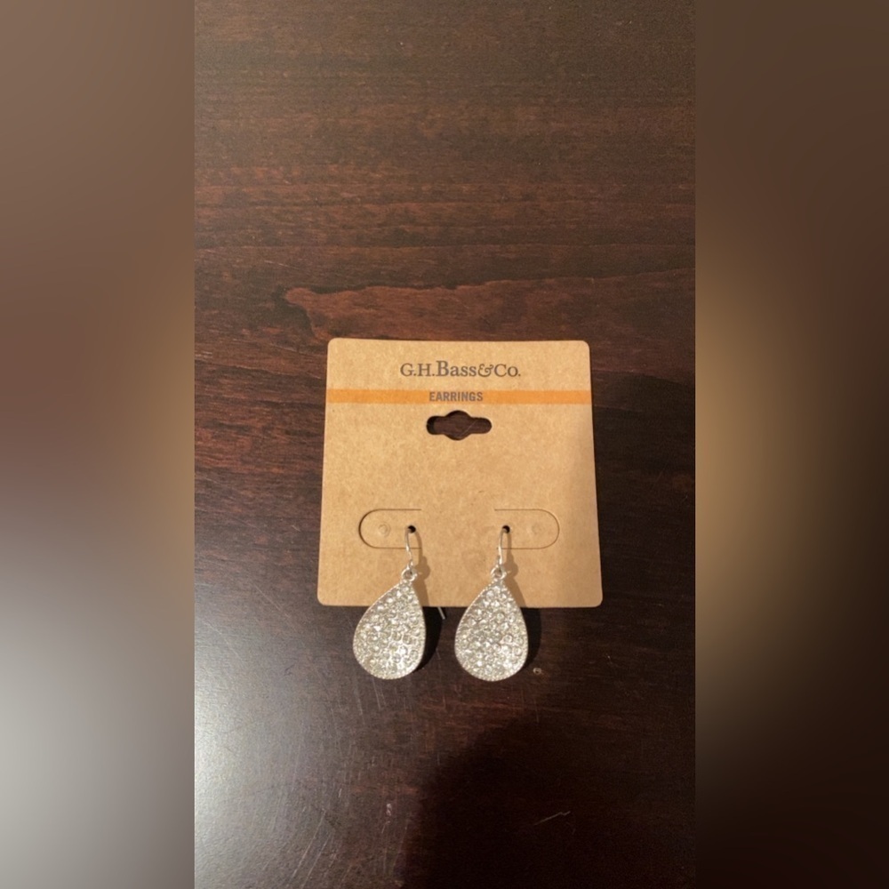 Silver oval earrings